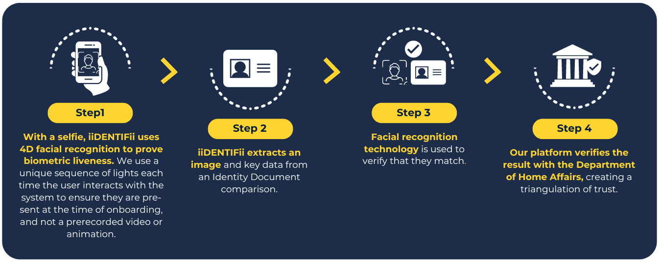 Generic IDV Solution LP infographic Generic IDV Solution LP infographic